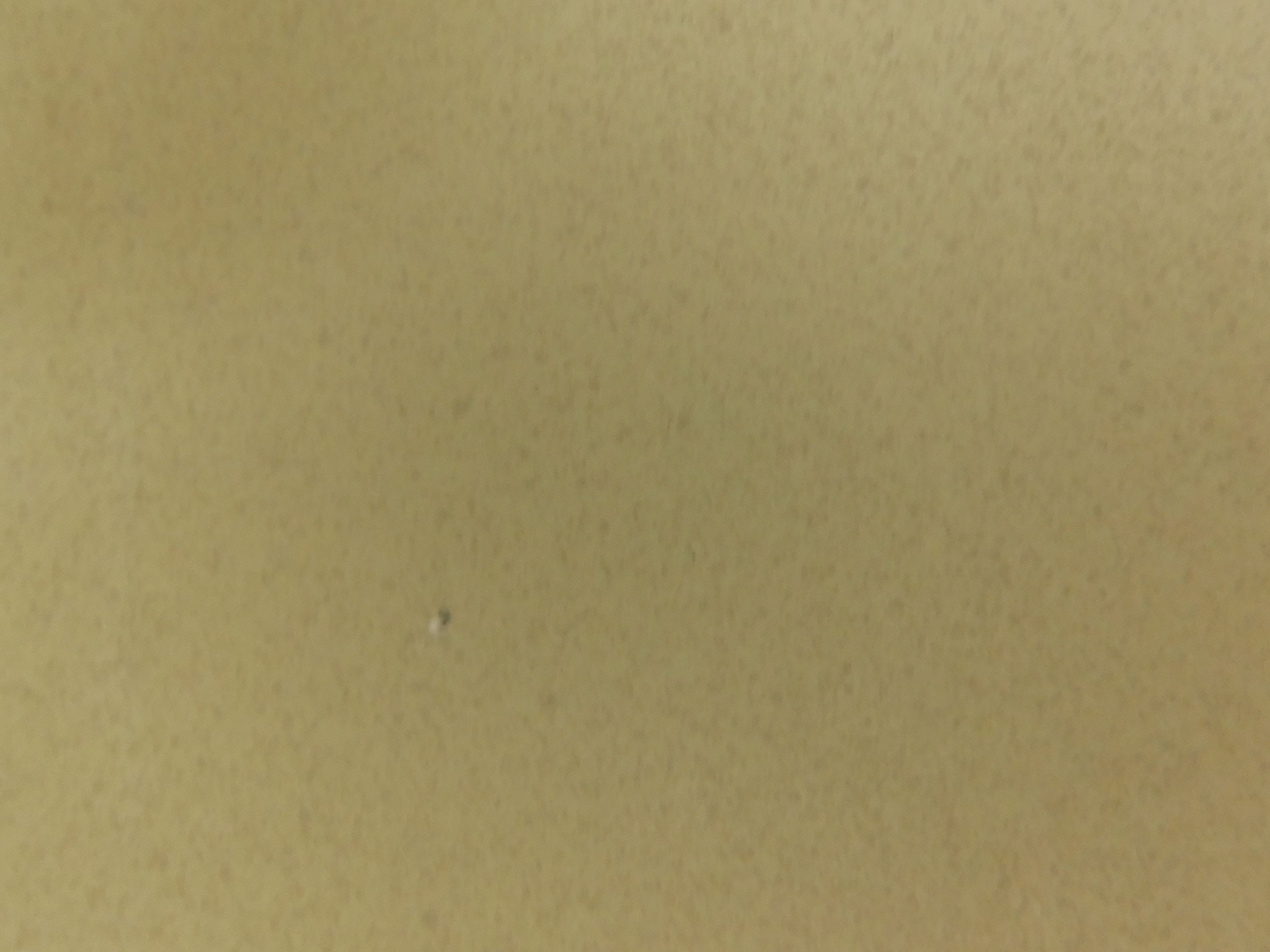 Leonor Fini - Fruits de la Passion kopen? Bied vanaf 55!