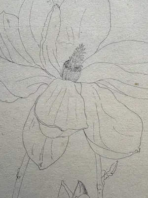 Henk Voskuyl - Magnolia kopen? Bied vanaf 35!