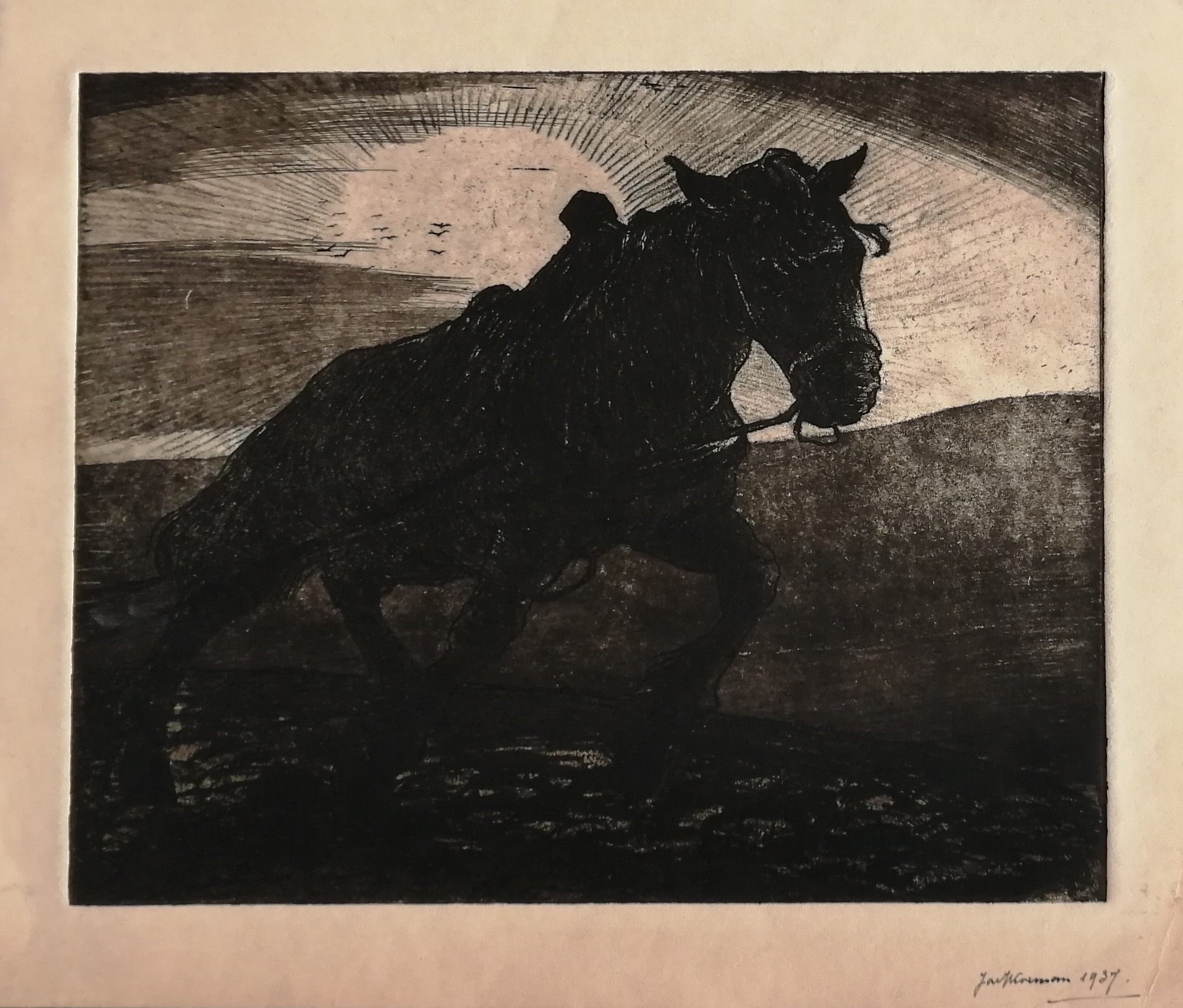 Jac. J. Koeman - Ploegpaard kopen? Bied vanaf 35!