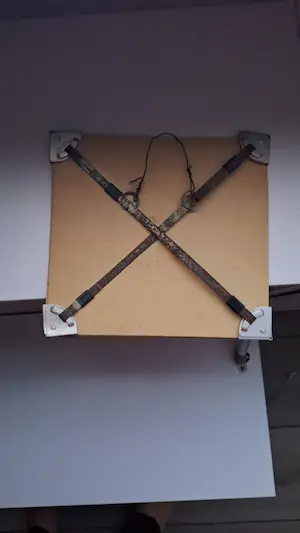 Sam Parabirsingh - Vogel kopen? Bied vanaf 25!