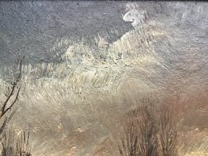 Niet of onleesbaar gesigneerd - Peellandschap met knotwilgen. kopen? Bied vanaf 1!