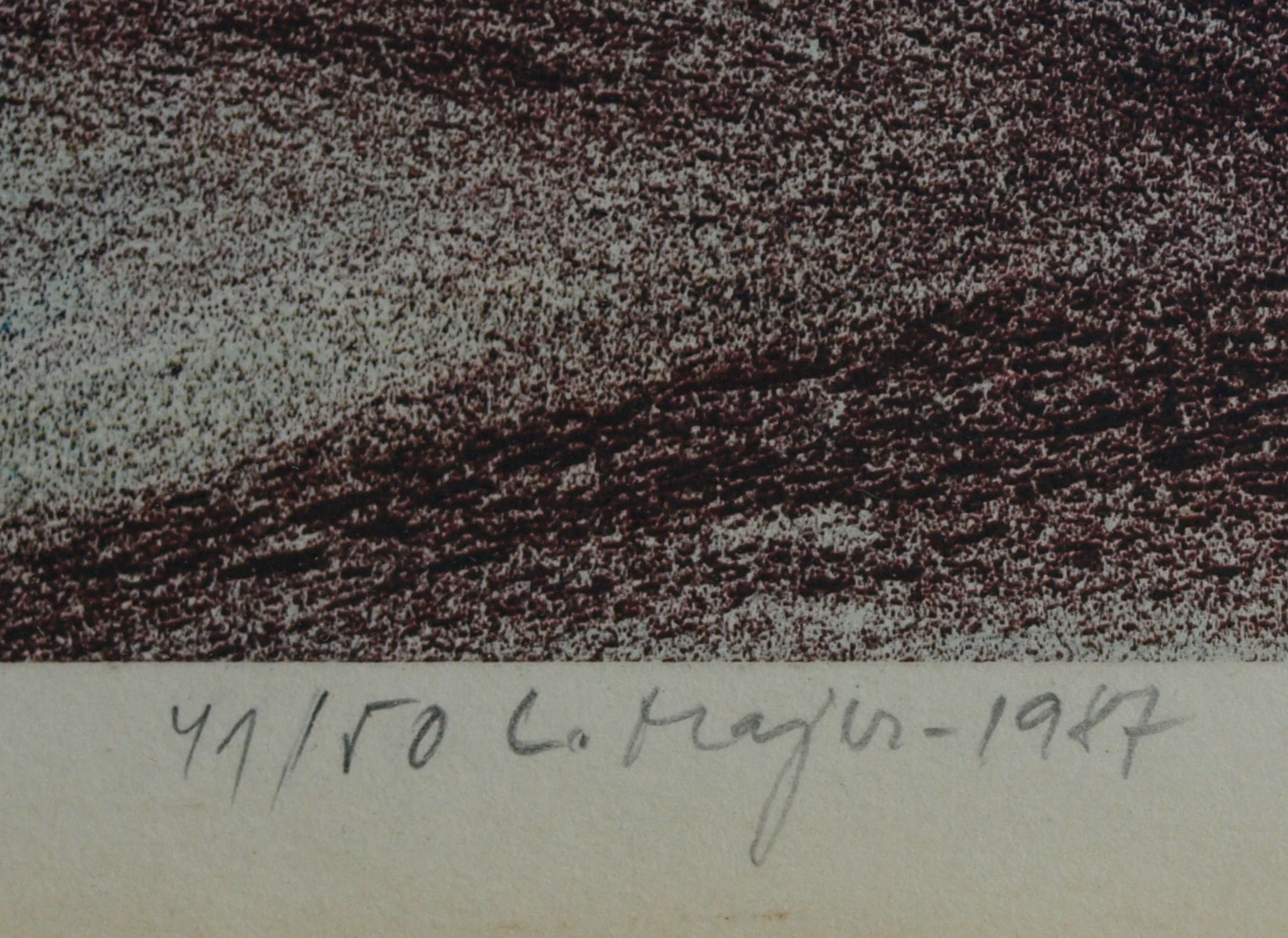 Luděk Majer - Litho, Winterlandschap 1 – gesigneerd & ingelijst – nr 41/50 - 1987 kopen? Bied vanaf 1!