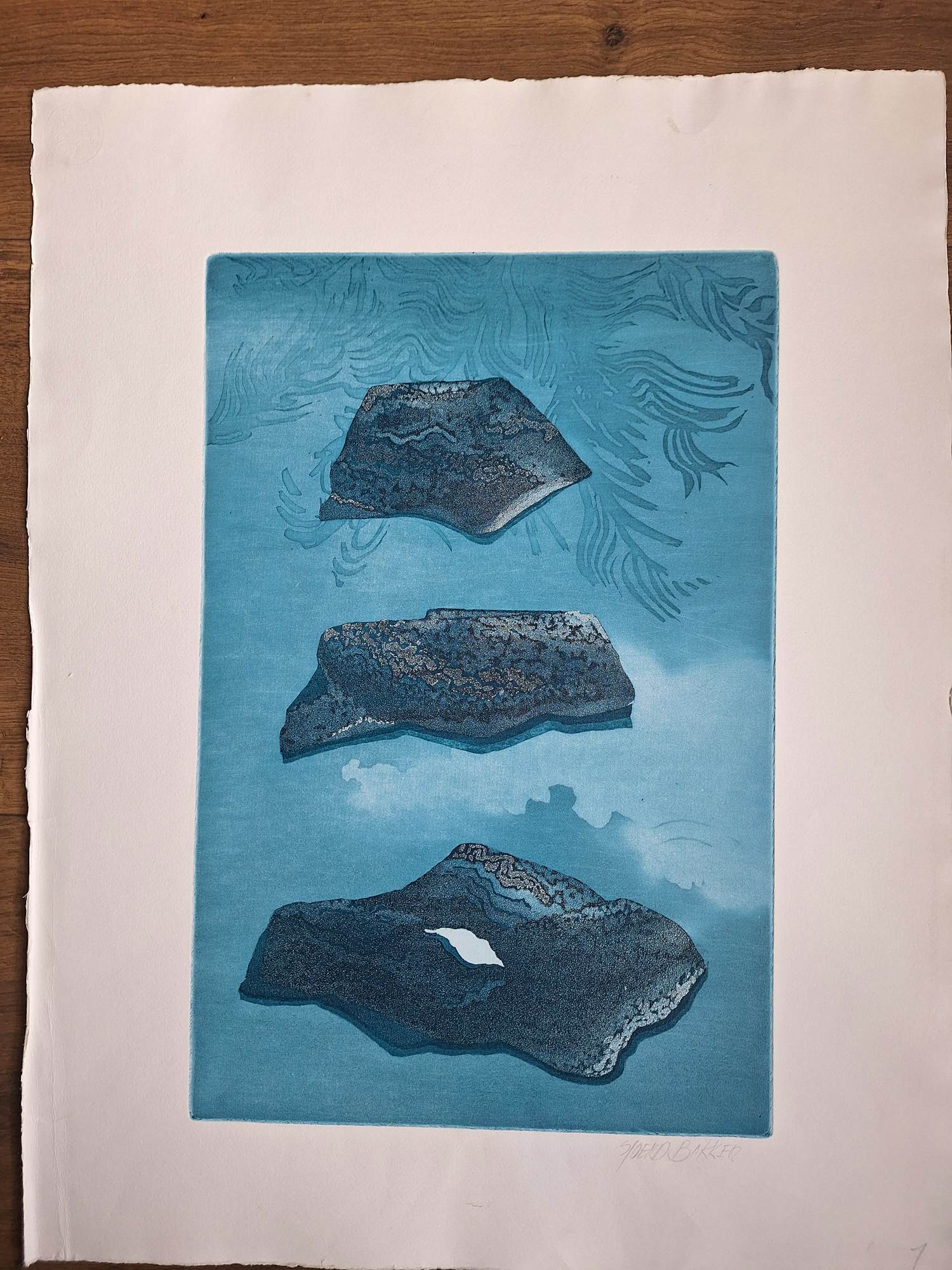 Sjoerd Bakker - Onbekend kopen? Bied vanaf 50!