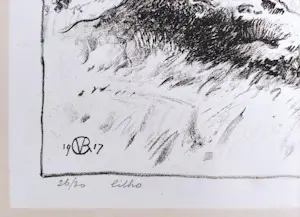 Johannes Graadt van Roggen - Duinlandschap I kopen? Bied vanaf 110!