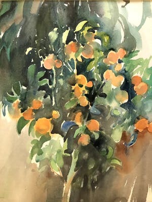 Hen Euverman - Mandarijnen Boompje - Aquarel, Ingelijst kopen? Bied vanaf 70!