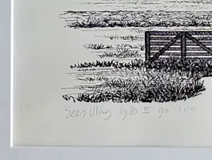 Sees Vlag - Krimpenerwaard kopen? Bied vanaf 85!