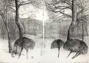 Charles Donker - ets - Noordoostenwind - definitieve, 3e staat - 1984 verkocht voor € 350!