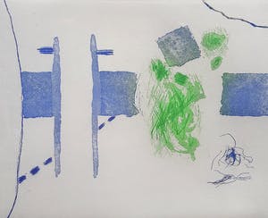 Roger Raveel - Blauw-groen tuingezicht, aquatint ets (netjes ingelijst, kleine oplage) kopen? Bied vanaf 525!