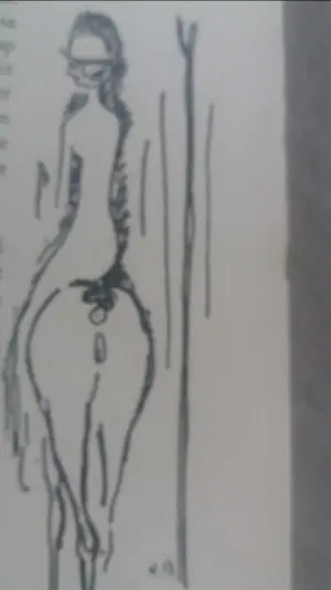 Kees van Dongen - Les cahiers d'aujaurd'hui - 1913 kopen? Bied vanaf 135!