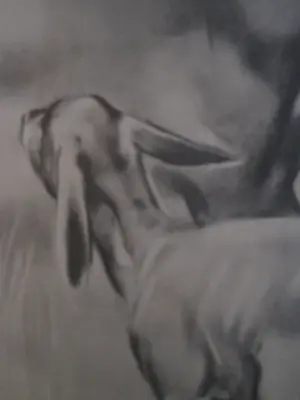 Han van Meegeren - Ree met kalf. kopen? Bied vanaf 30!