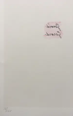 Klaas Gubbels - zeefdruk ‘Verlegen schaduwen’ - 1981 kopen? Bied vanaf 95!