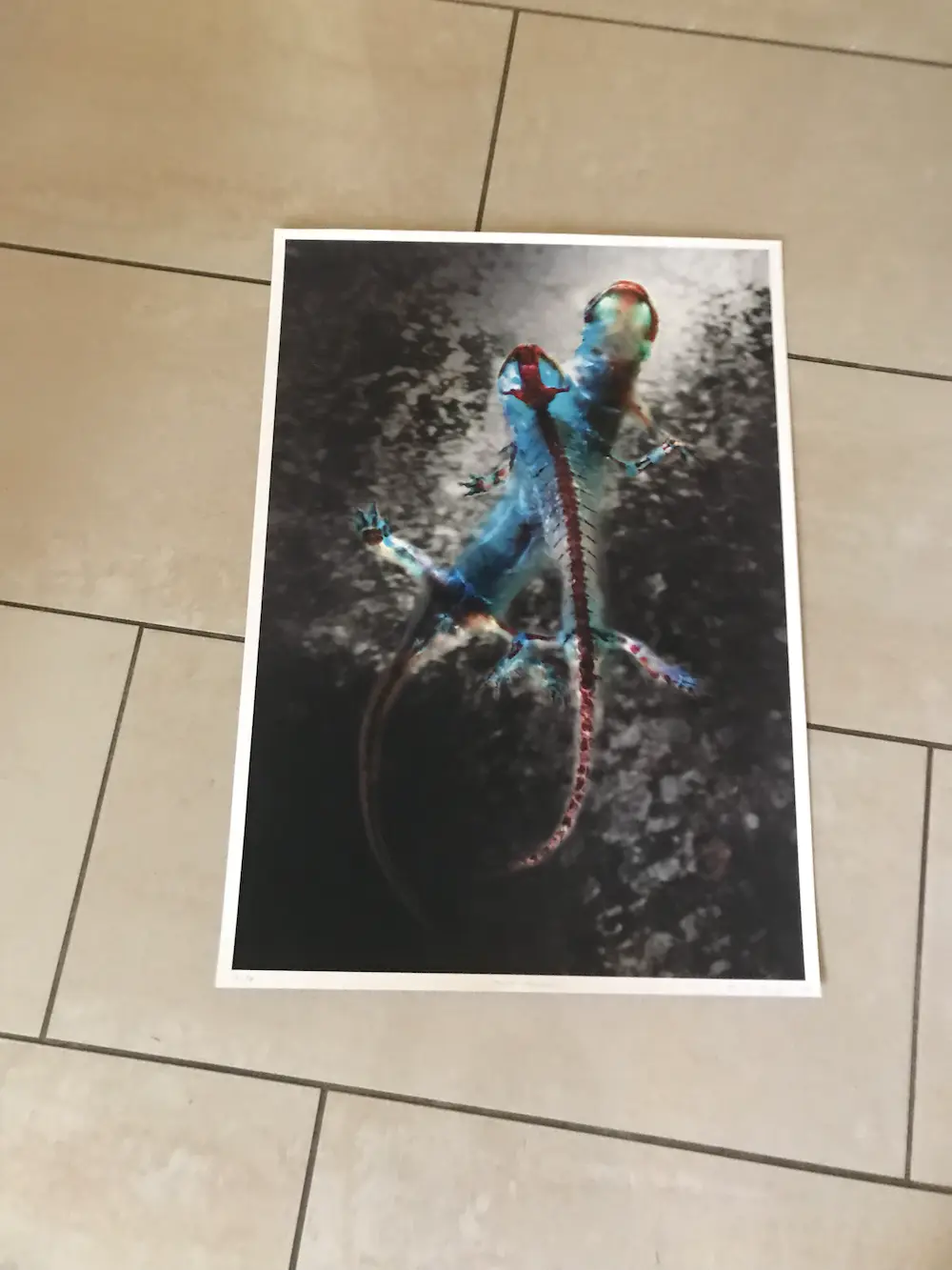 Brandon Ballengée (1974)