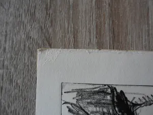 Leo Hofman - Ets, titel, Negev woestijn Israël. kopen? Bied vanaf 15!