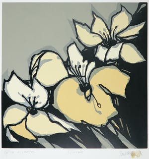 Fon Klement - Boardsnede, Liliaceés kopen? Bied vanaf 70!