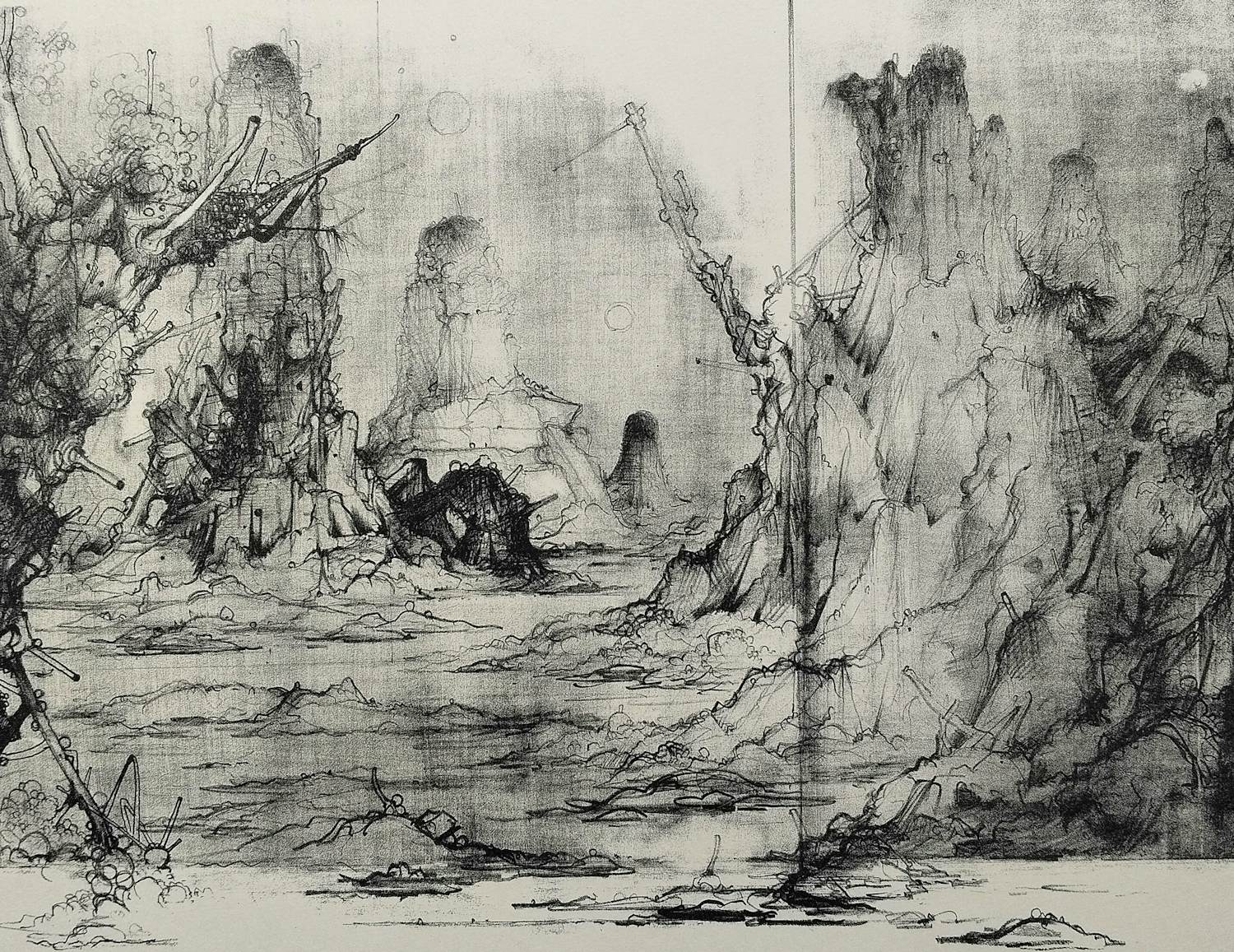 Dirkje Kuik - vergezicht – gesigneerde litho kopen? Bied vanaf 49!