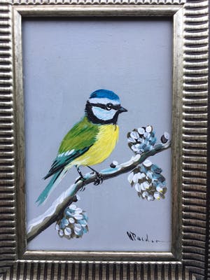 Henk Poeder - Vogeltjes kopen? Bied vanaf 79!