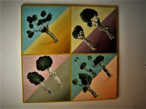 Erna van Mondfrans - GROOT realistisch olieverf "Frankrijk de bomen van Chalabre" gesigneerd kopen? Bied vanaf 20!