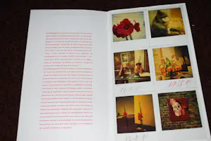 Erik Andriesse - 192 polaroids (oplage 500) & 2 andere gidsen kopen? Bied vanaf 75!