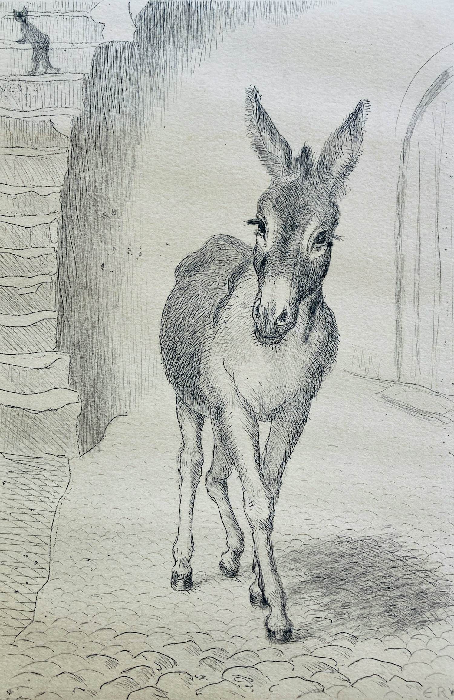 Engelien Reitsma-Valenca - ezeltje kopen? Bied vanaf 20!