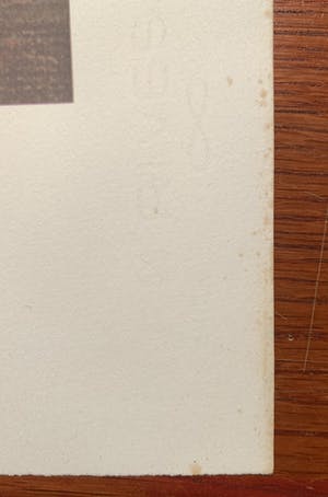 Leonor Fini - La fille Médiévale kopen? Bied vanaf 35!