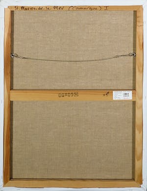 Ronald Boonacker - Acryl op Doek, Camarque kopen? Bied vanaf 1!