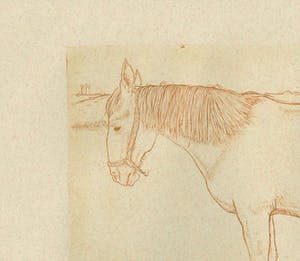 Jan Mankes - Paard kopen? Bied vanaf 1!