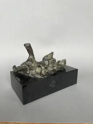 Jetty Homan - Liggend abstract (brons) kopen? Bied vanaf 153!