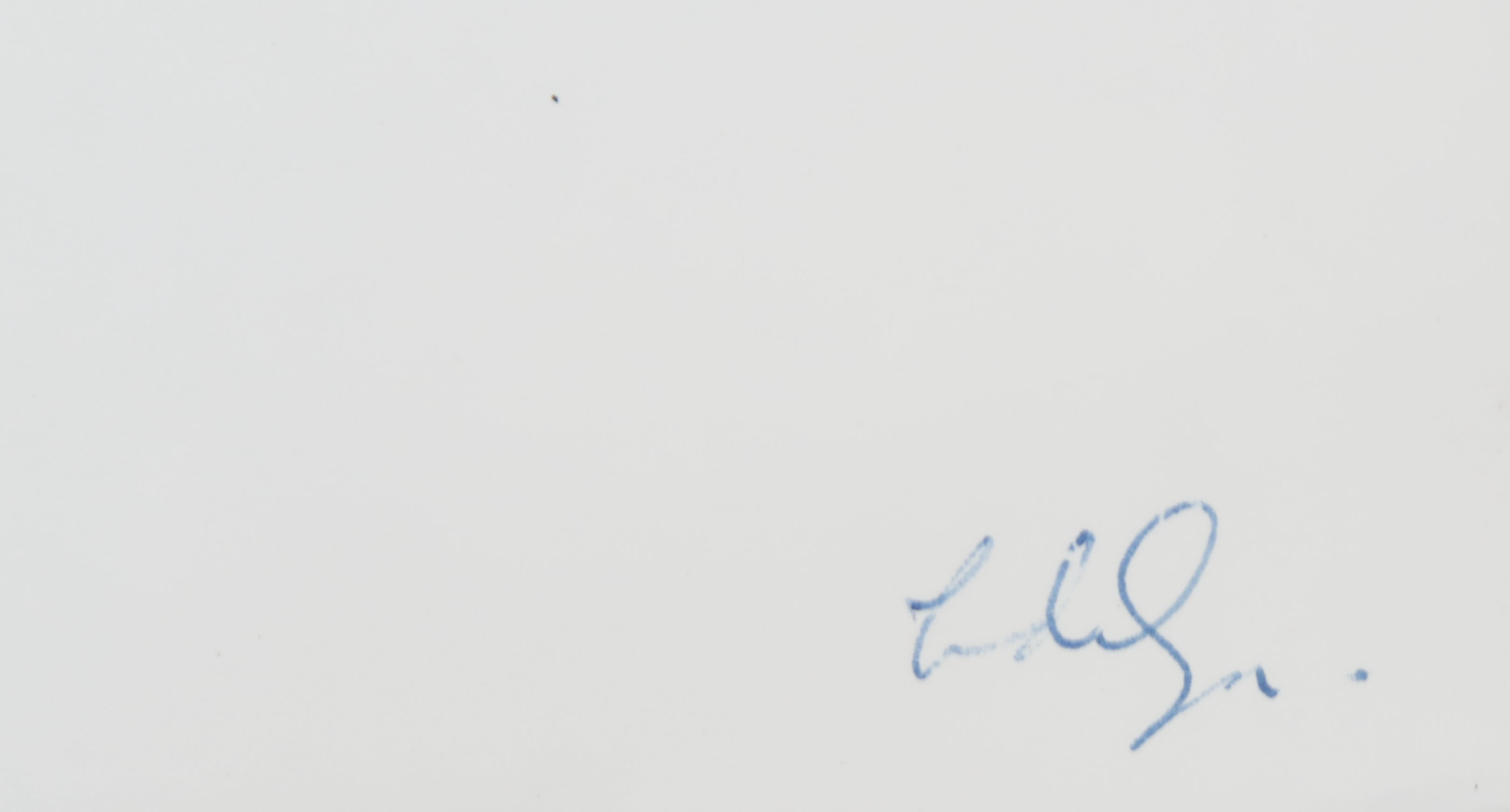 Voebe de Gruyter - Verzameld werk in samenwerking met Anna Tilroe, Het Tapijt kopen? Bied vanaf 50!