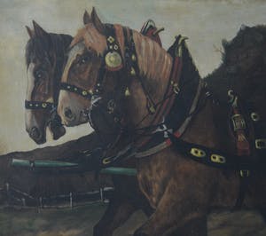 Niet of onleesbaar gesigneerd - Twee paarden. kopen? Bied vanaf 1!