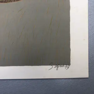 Antonio Segui - Olifant kopen? Bied vanaf 15!