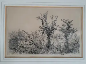 Willem Minderman - "Ierland". kopen? Bied vanaf 49!