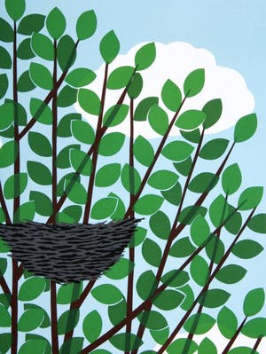 Joseph Willaert - Boomtop met nest kopen? Bied vanaf 350!