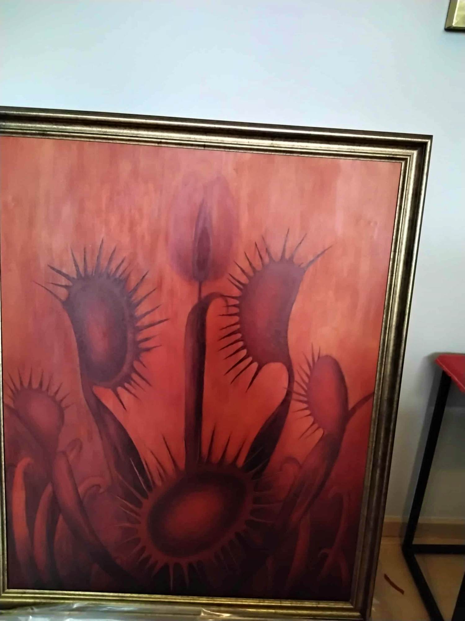 Florent Smet - Vleesetende planten kopen? Bied vanaf 450!