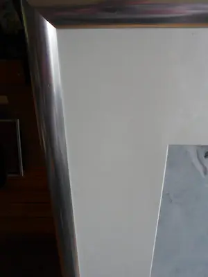 Nico Molenkamp - Zeefdruk: Giraffe mooi groot werk. kopen? Bied vanaf 275!