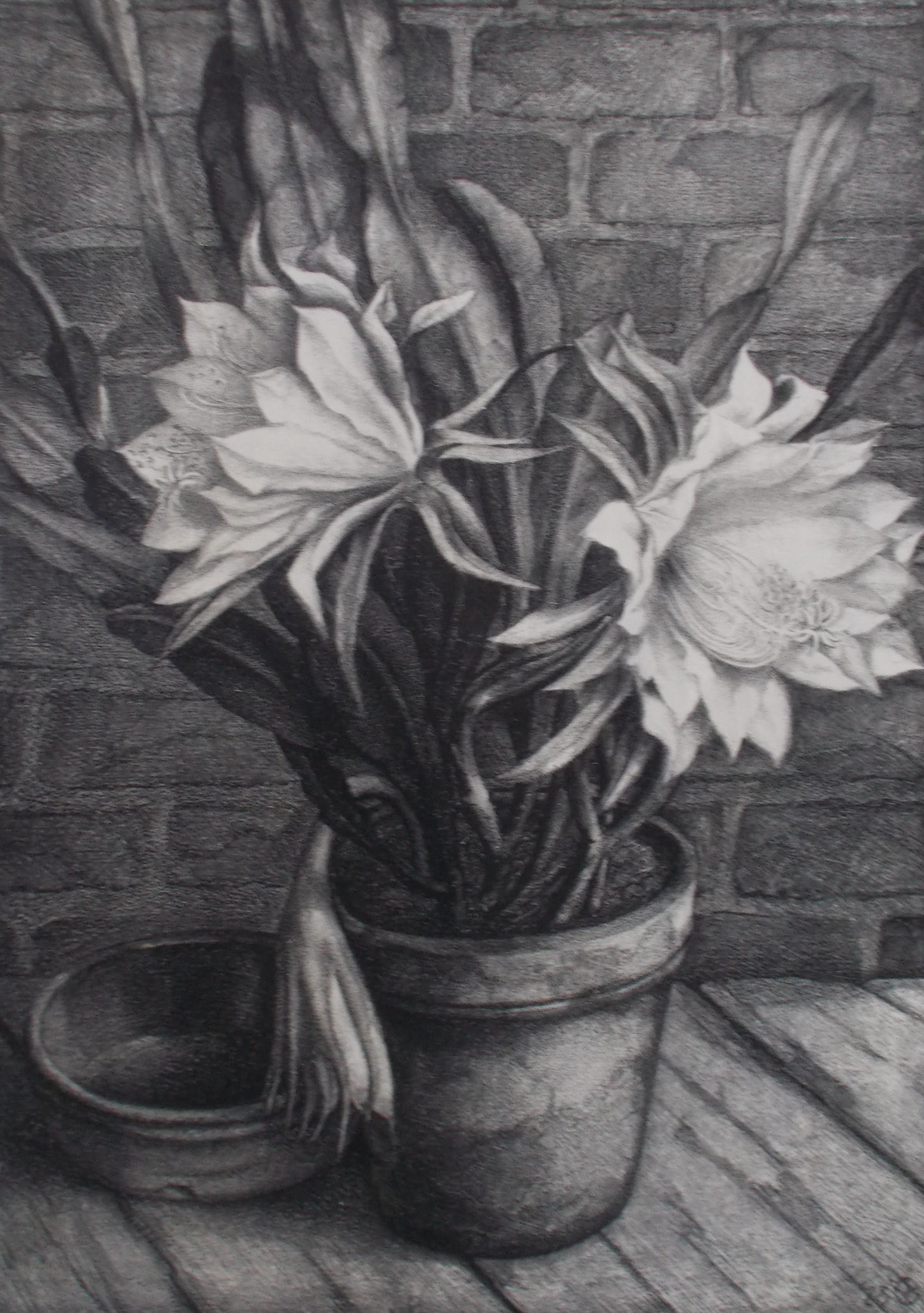 Aart van Dobbenburgh - Stilleven met cactus verkocht voor € 65!