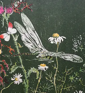 Wim Schuhmacher - Plantjes met insecten, litho kopen? Bied vanaf 25!