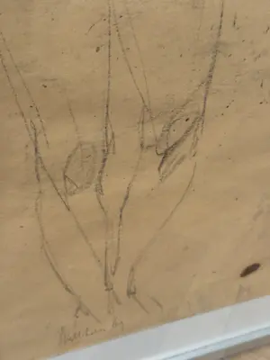 Aat Veldhoen - Aat Veldhoen Naakt kopen? Bied vanaf 75!