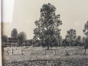 Wil Rombouts - Inkttekening (25 x 20 cm) 1978 kopen? Bied vanaf 1!