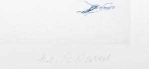 Roger Raveel - Blauw-groen tuingezicht (zeer zeldzaam) kopen? Bied vanaf 440!