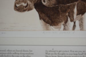 Han van Hagen - Ets - RVV NL - Prent I kopen? Bied vanaf 75!