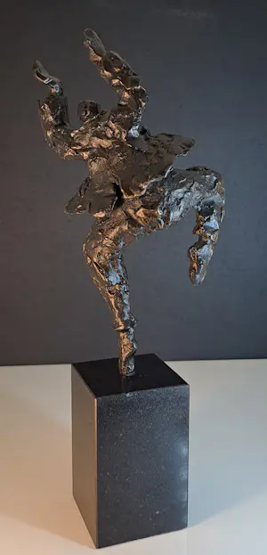 Wim Heesakkers - Dance kopen? Bied vanaf 50!