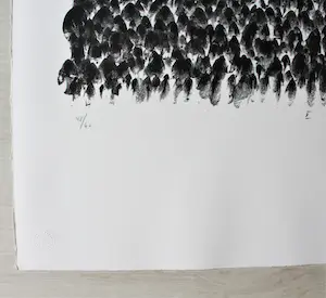 Günther Uecker - "Drei Beete im zärtlichen Garten" Auflage 60 - signiert - nummeriert kopen? Bied vanaf 600!