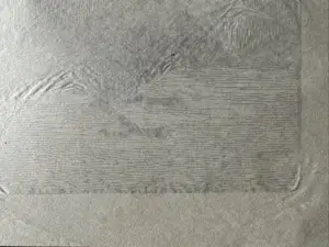 Jan Mankes - Houtsnede Zwarte Kraai - Gesigneerd - 1918 kopen? Bied vanaf 395!