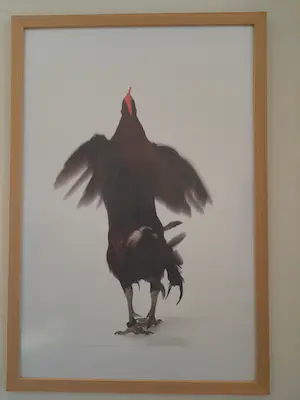 AcheterKoen Vanmechelen - Fighter? Enchérissez de 740!