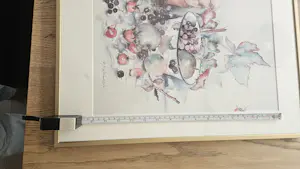 Alie Kruse-Kolk - Druiven en Appels kopen? Bied vanaf 25!