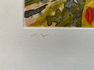 Gottfried Salzmann - New York Taxi's - litho kopen? Bied vanaf 100!