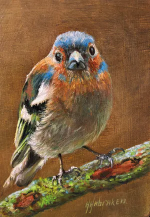 Hans Habraken - Vink op tak kopen? Bied vanaf 175!