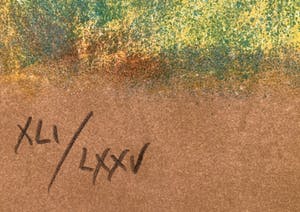 Claudia Steine - Lady in Red in bed kopen? Bied vanaf 25!