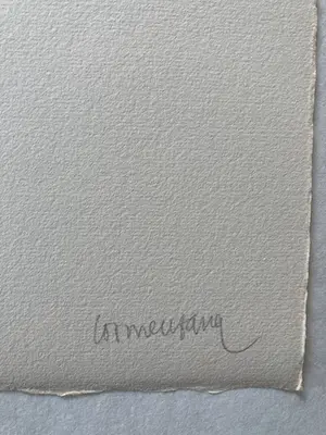 Enric Cormenzana - Pas de Dansa 7, Farblithografie, handsigniert und nummeriert, 1980 kopen? Bied vanaf 40!