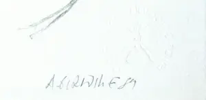 Alexis Gorodine - Libegafra kopen? Bied vanaf 40!